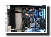 IMG_1433.JPG