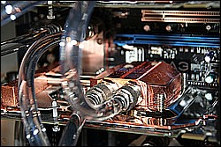 sli_04.jpg