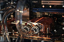 sli_05.jpg